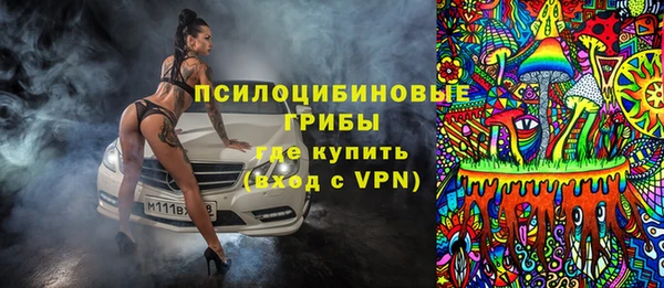 прущая мука Богородицк
