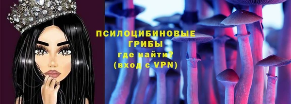 прущая мука Богородицк