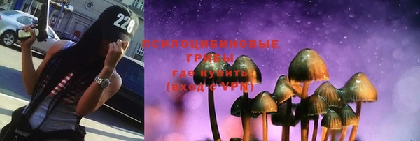 прущая мука Богородицк