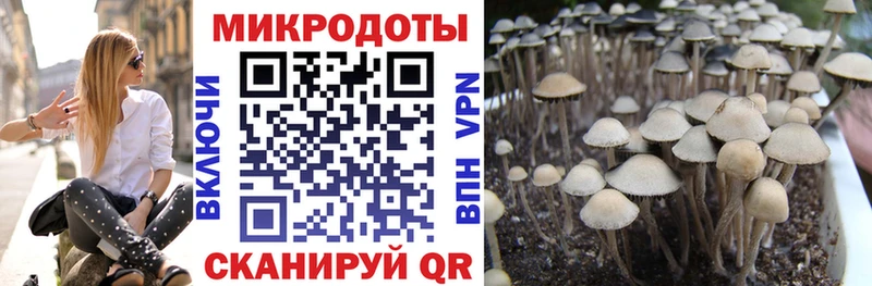 Псилоцибиновые грибы мухоморы  купить наркотик  Юрьевец 